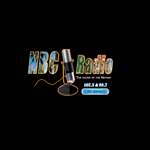 NEMO Hosts NVEP Consultation